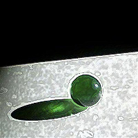 Green-orb.jpg