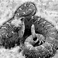 Rattlesnake.jpg